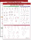 Image for Travell, Simons &amp; Simons&#39; Trigger Point Pain Patterns Wall Charts Package