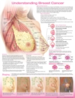 Image for Understanding Breast Cancer Anatomical Chart