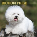 Image for Bichon Frise 2019 Square Wall Calendar