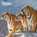 Image for Tigers 2019 Square Wall Calendar