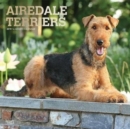 Image for Airedale Terriers 2019 Square Wall
