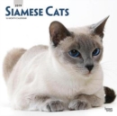 Image for Siamese Cats 2019 Square Wall Calendar