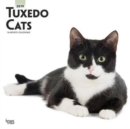 Image for Tuxedo Cats 2019 Square Wall Calendar