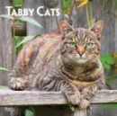 Image for Tabby Cats 2019 Square Wall Calendar