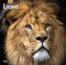 Image for Lions 2019 Square Wall Calendar