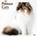 Image for Persian Cats 2019 Square Wall Calendar