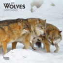 Image for Wolves 2020 Mini Wall Calendar