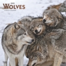 Image for Wolves 2020 Square Wall Calendar