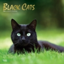 Image for Black Cats 2020 Square Wall Calendar