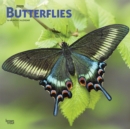 Image for Butterflies 2020 Square Wall Calendar