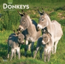 Image for Donkeys 2020 Square Wall Calendar