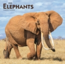 Image for Elephants 2020 Square Wall Calendar