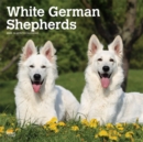 Image for German Shepherds, White 2020 Square Wall Calendar
