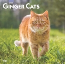 Image for Ginger Cats 2020 Square Wall Calendar