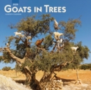 Image for Goats in Trees 2020 Square Wall Calendar