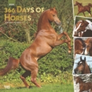 Image for Horses, 366 Days of, 2020 Square Wall Calendar