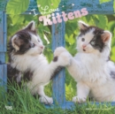 Image for Kittens, I Love 2020 Square Wall Calendar