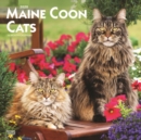 Image for Maine Coon Cats 2020 Square Wall Calendar