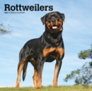 Image for Rottweilers 2020 Square Wall Calendar