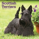 Image for Scottish Terriers 2020 Square Wall Calendar