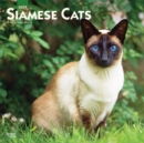 Image for Siamese Cats 2020 Square Wall Calendar