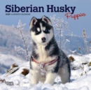 Image for Siberian Husky Puppies 2020 Mini Wall Calendar