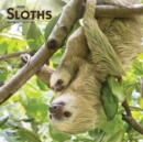 Image for Sloths 2020 Square Wall Calendar