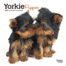 Image for Yorkshire Terrier Puppies 2020 Mini Wall Calendar