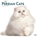 Image for Persian Cats 2020 Square Wall Calendar