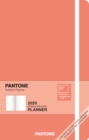 Image for Pantone Planner 2020 Compact &#39;19 Colour of Year