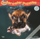 Image for Underwater Puppies 2020 Square Wall Calendar