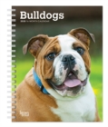 Image for Bulldogs 2020 Diary
