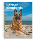Image for German Shepherds 2020 Diary