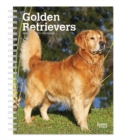 Image for Golden Retrievers 2020 Diary