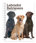 Image for Labrador Retrievers 2020 Diary