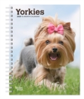 Image for Yorkshire Terriers 2020 Diary