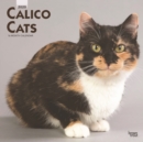 Image for Calico Cats 2020 Square Wall Calendar