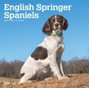 Image for English Springer Spaniels Intl 2020 Square Wall Calendar