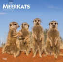 Image for Meerkats 2020 Square Wall Calendar