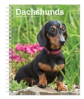 Image for Dachshunds 2020 Diary