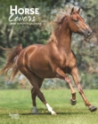 Image for Horse Lovers 2020 Diary