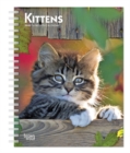 Image for Kittens 2020 Diary