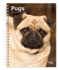 Image for Pugs 2020 Diary