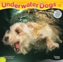 Image for Underwater Dogs 2021 Mini 7X7 Calendar