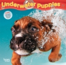 Image for Underwater Puppies 2021 Mini 7X7 Calendar