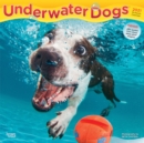 Image for Underwater Dogs 2021 Square Calendar