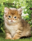 Image for Kittens 2021 Engagement Calendar