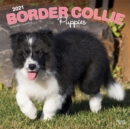 Image for Border Collie Puppies 2021 Square Calendar