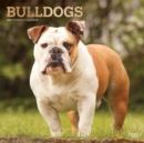Image for Bulldogs 2021 Square Foil Calendar