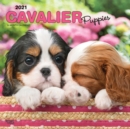 Image for Cavalier King Charles Spaniel Puppies 2021 Square Calendar